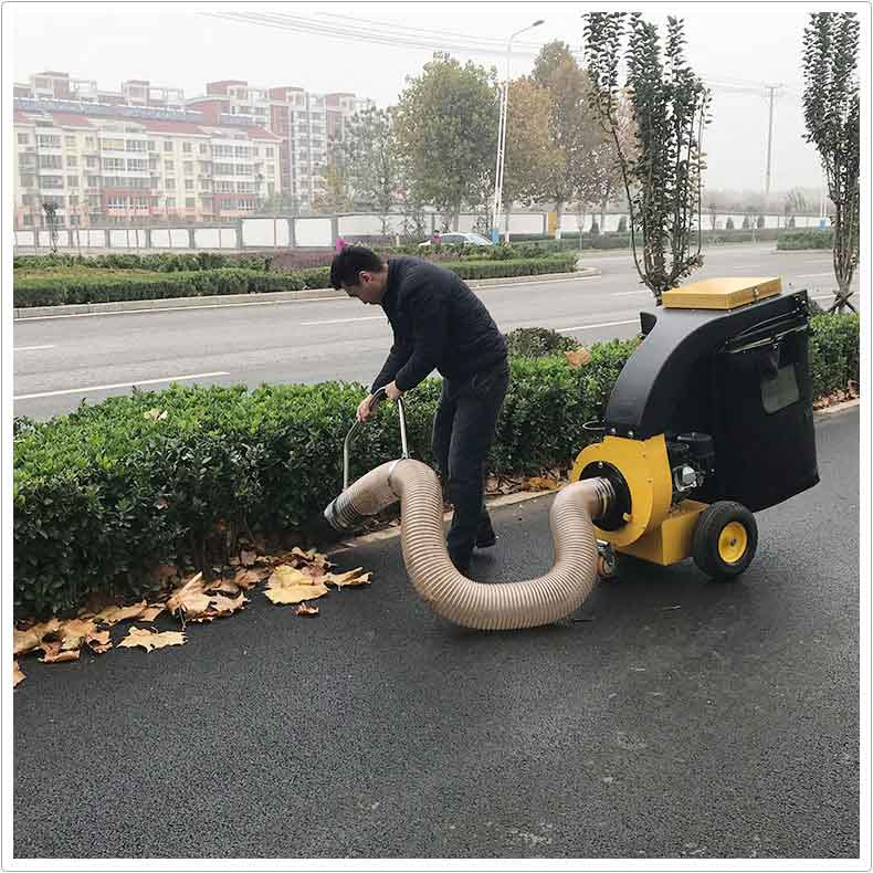 Small Hand Push Style Gasoline Outdoor Road Park Leaf Garbage Collector Leaf Collection Machine