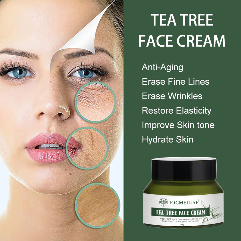 Private Label Anti Aging Hyaluronic Acid Whitening Facial Cleanser Face Wash Face Cream Tea Tree Skin Care Set