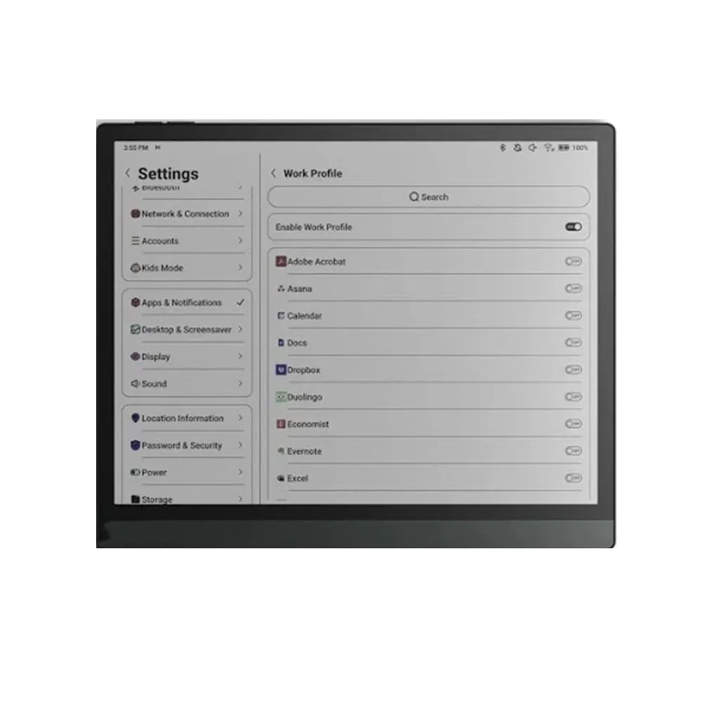 10.3-Inch Glare-Free & Eye-Friendly E-Reader Wi-Fi E-Readers for Kids Adults & Seniors