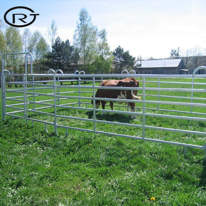 Hot Sale Cattle Panel Livestock Fence Metal Cattle Field Fence