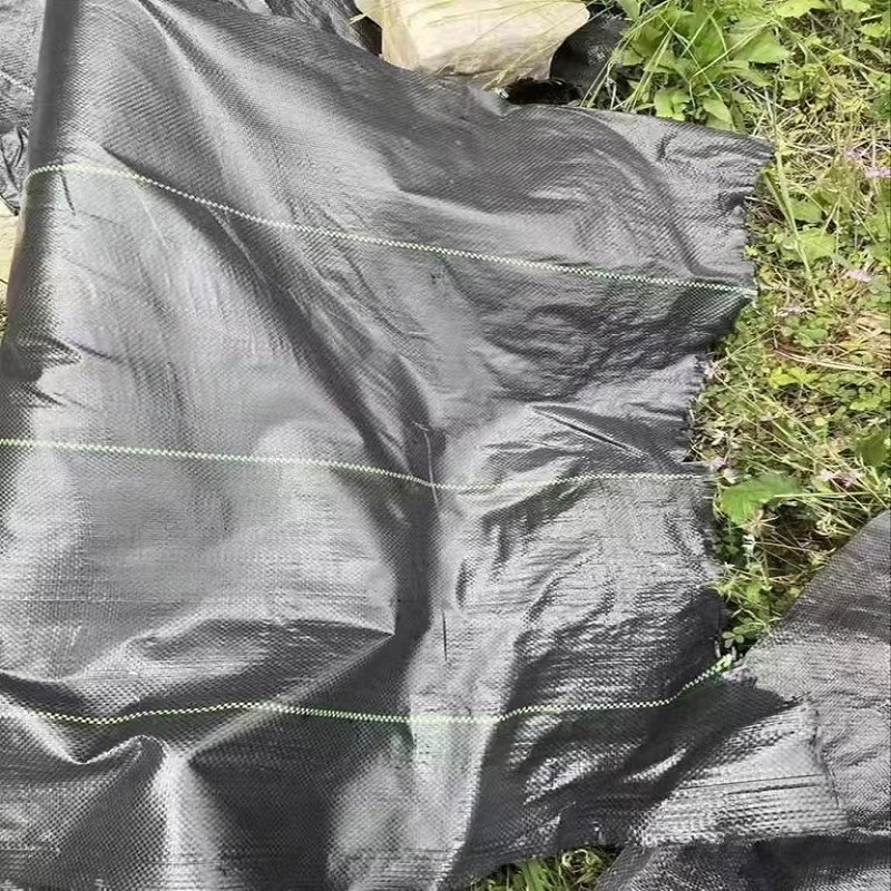 Durable Grass Proof Geotextile Fabric for Agricultural Use