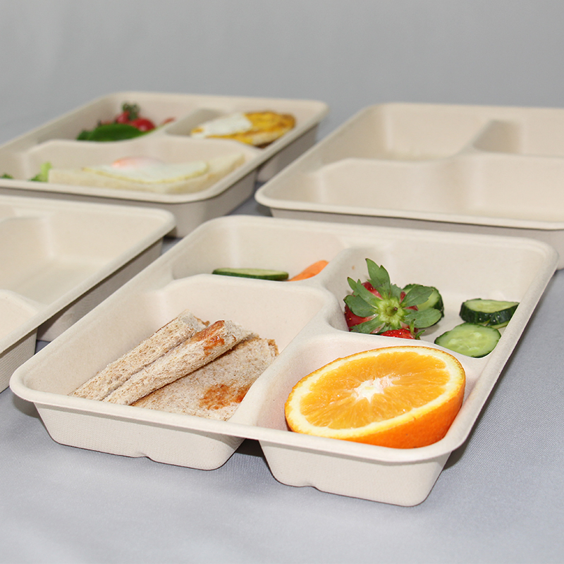 Eco 4 Compartment Divided Square Sugarcane Food Tray with Lid