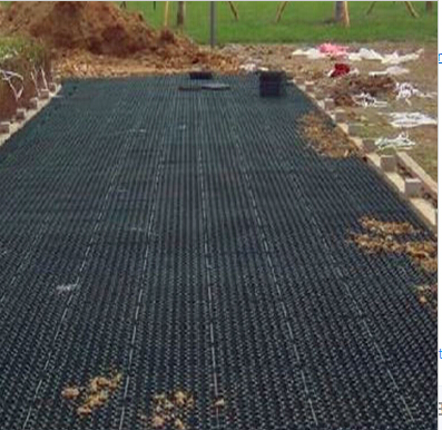 HDPE Geonet Ce131 for Parking
