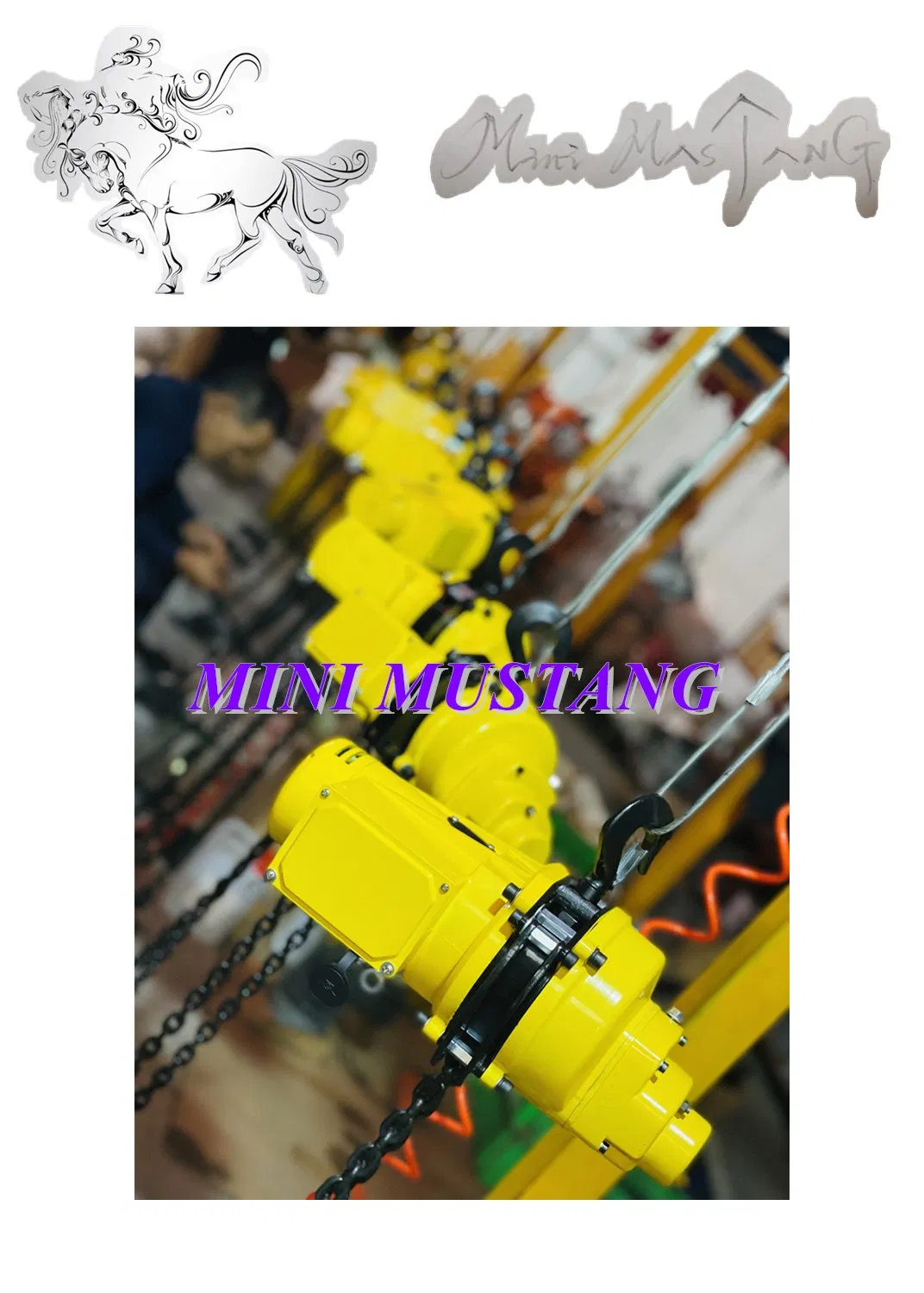 Hot Sale in USA-- Electric Hoist Made in China