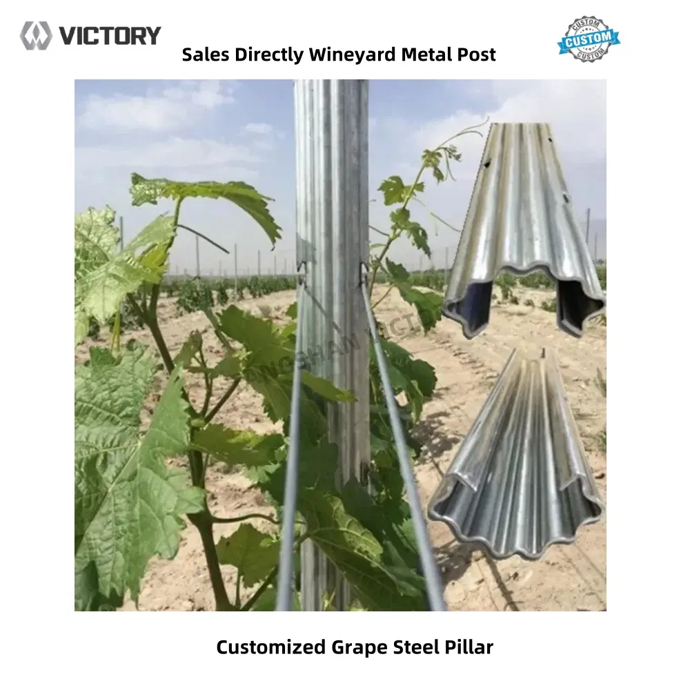 Heavy-Duty Galvanized Metal Fencing Posts for Garden Protection