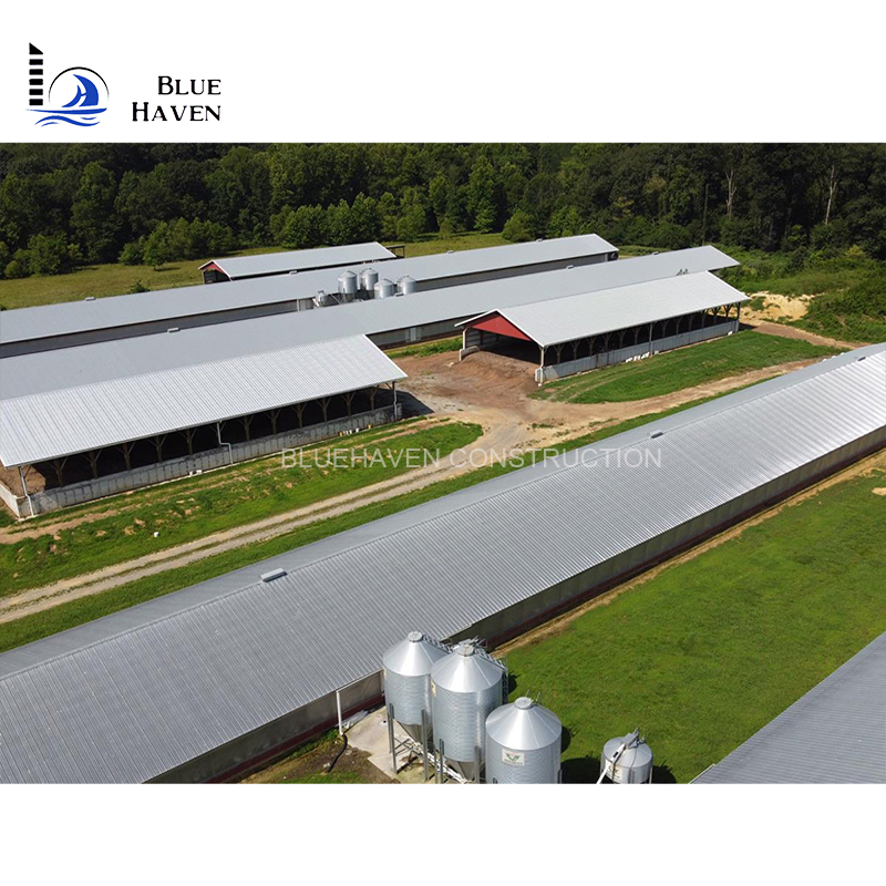 Light Steel Construction Storage Shed Breeding Chicken Coop