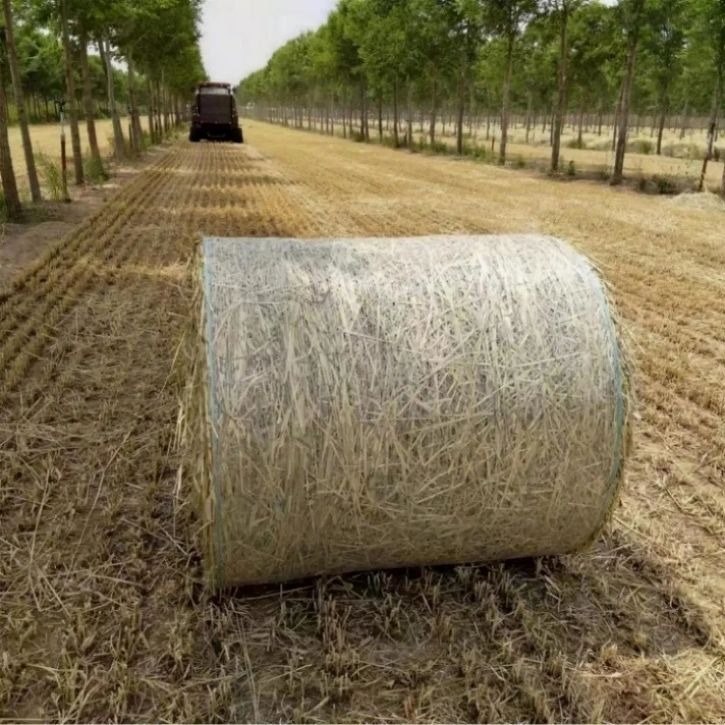 Factory Price Wholesale Custom Durable Anti-UV Round Bale Net Horse Hay Nets for Straw Silage Wrapping Global Hot Sale