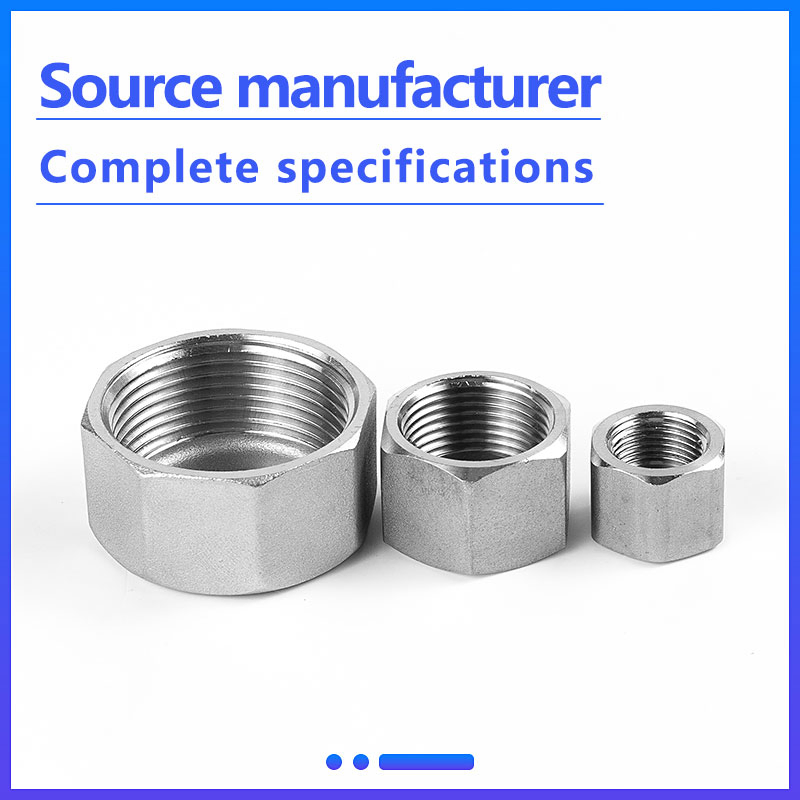 Hot Selling Stainless Steel Pipe Fittings 304 Thread Hexagonal Cap