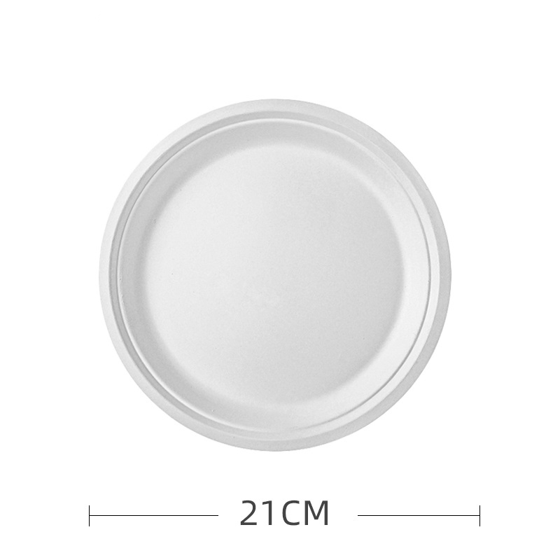 Hot Sale Disposable Sugarcane Pulp Bagasse Paper Plates