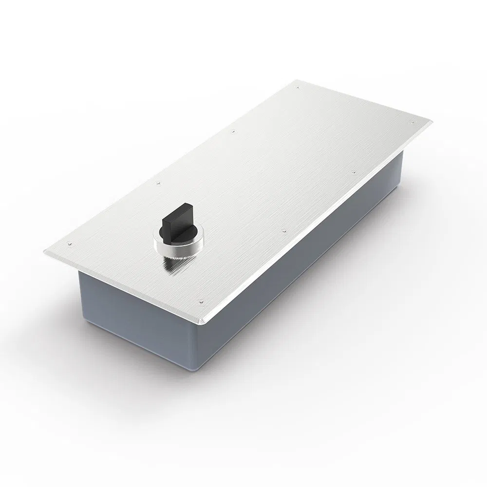 Remote Commissioning Quality Assurance Floor Spring for High-End Hotel Corridor Door