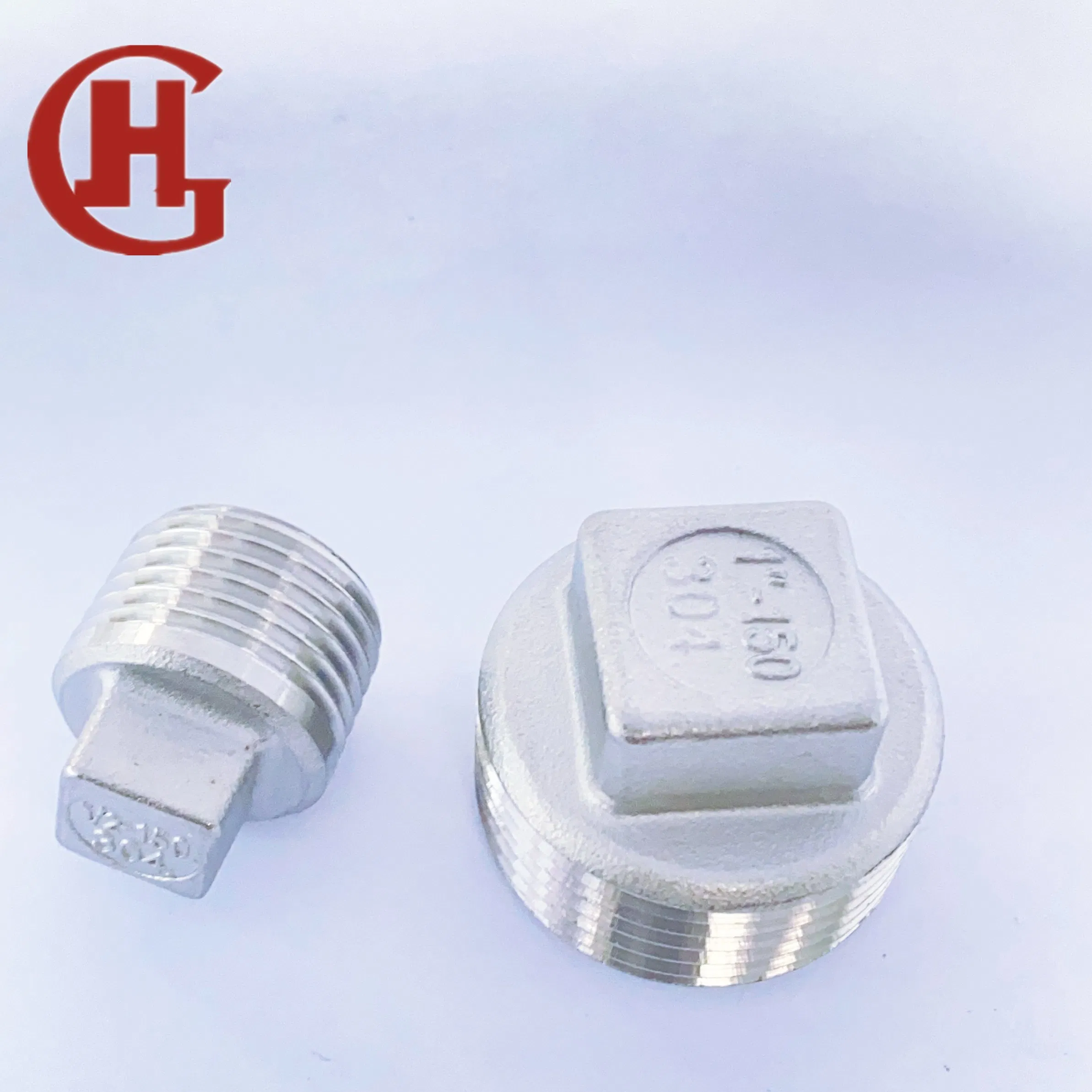Stainless Steel Pipe Fitting SS304 Thread Screw Plug