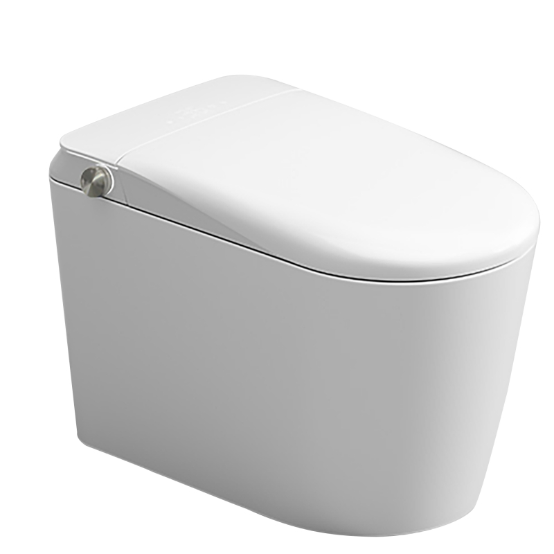 Bestselling Fashion Smart Toilet Ceramic Remote Control Intelligent Toilet Seat
