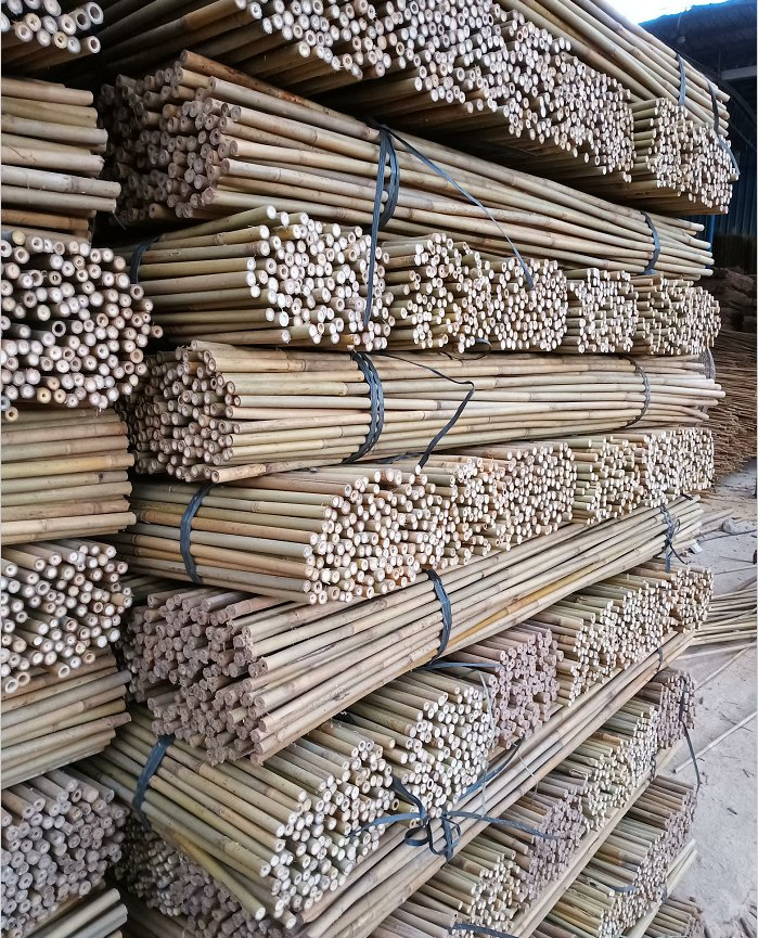 Tonkin Bamboo Poles Used for Flower Racks on Garden Farms/Bamboo Rods Straight
