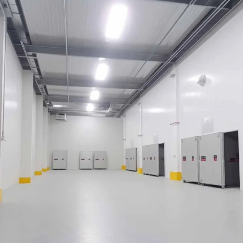 Cold Storage Prefabricated Steel Structure Warehouse Freezer