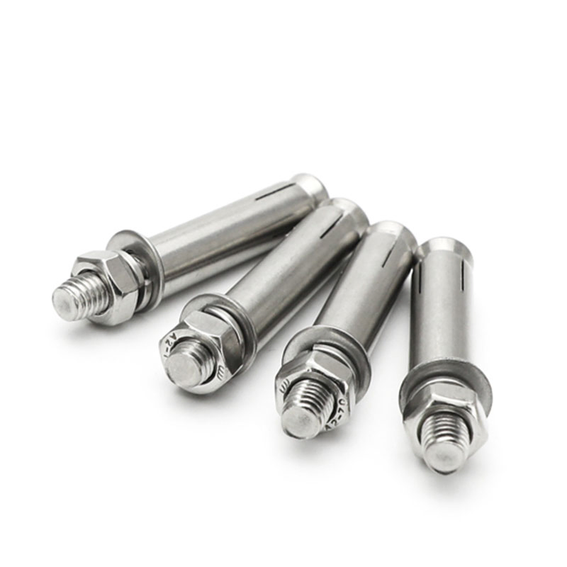 Heavy-Duty Stainless Steel Expansion Bolt Pack for Shipping