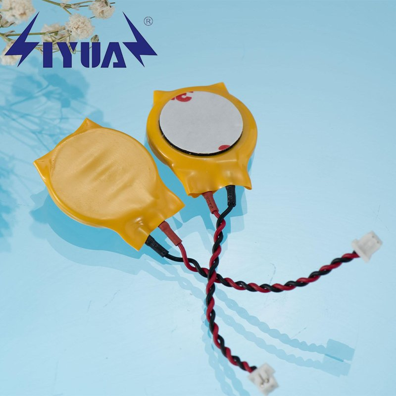 High Quality Customized Cr1632 3V Lithium Button Cell Battery with Wires/Connector