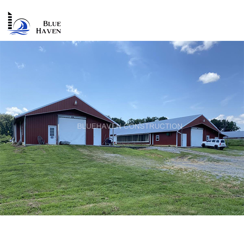 Light Steel Construction Storage Shed Breeding Chicken Coop