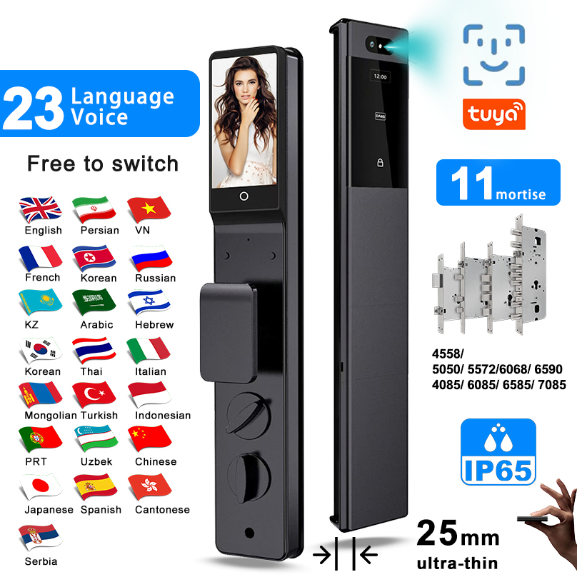 Intelligent Israel Waterproof Door Lock Tuya APP Smart Lock Fingerprint Face Recognition Door Lock
