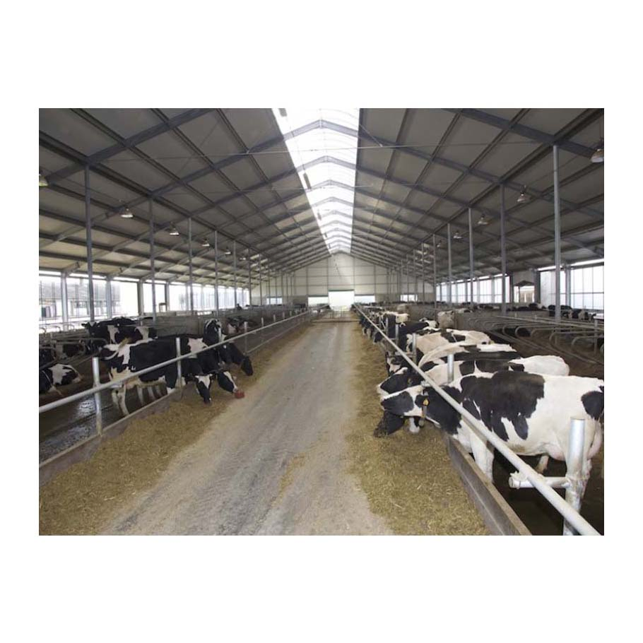 Free Design Large Livestock Farms Prefabricated Light Portal Steel Structure Cow Shed High Quality Prefab Sheep Goat Pig Cow Dairy Cattle Farms for Farming