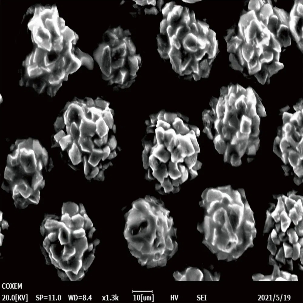 Versatile Rvd Diamond Powder for Superior Tool Solutions