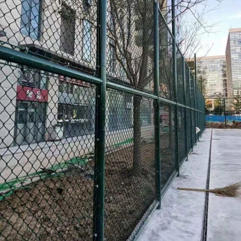 Anping High Quality Chain Link Wire Mesh PVC Coated Chain Link Fence