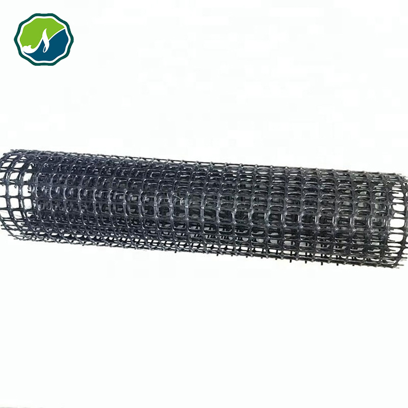 Soil Stabilization Geogrid for Enhanced Ground Stability