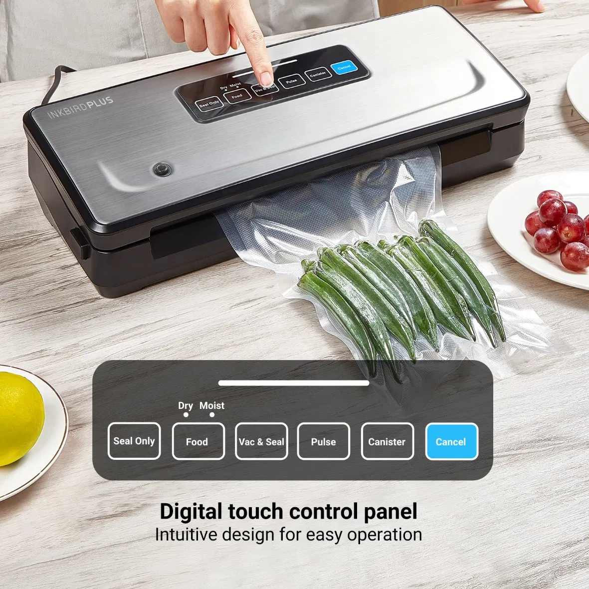 Inkbirdplus Ink-Vs02 High-Efficiency Household Food Storage Vacuum Sealer