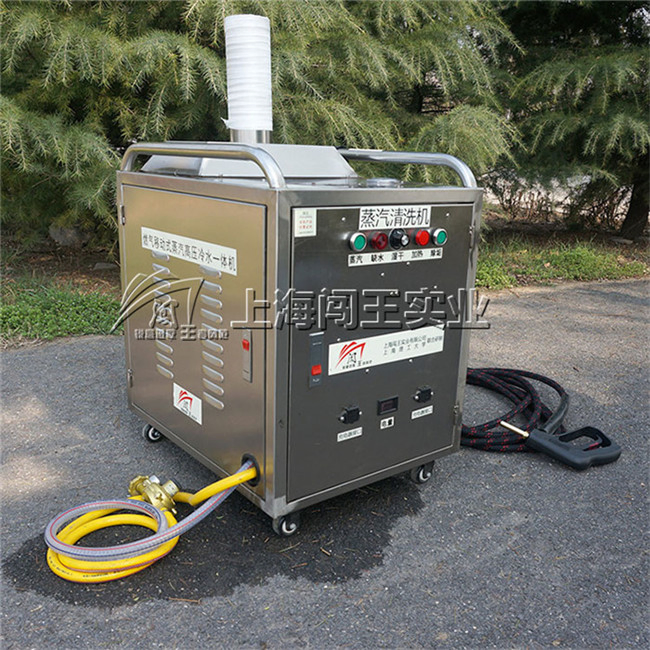 Car Engine Caebon Cleaning Machine High Pressure Car Washer for Engine