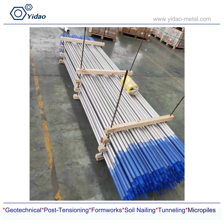 Анкерный болт 8.8 с двумя шляпками