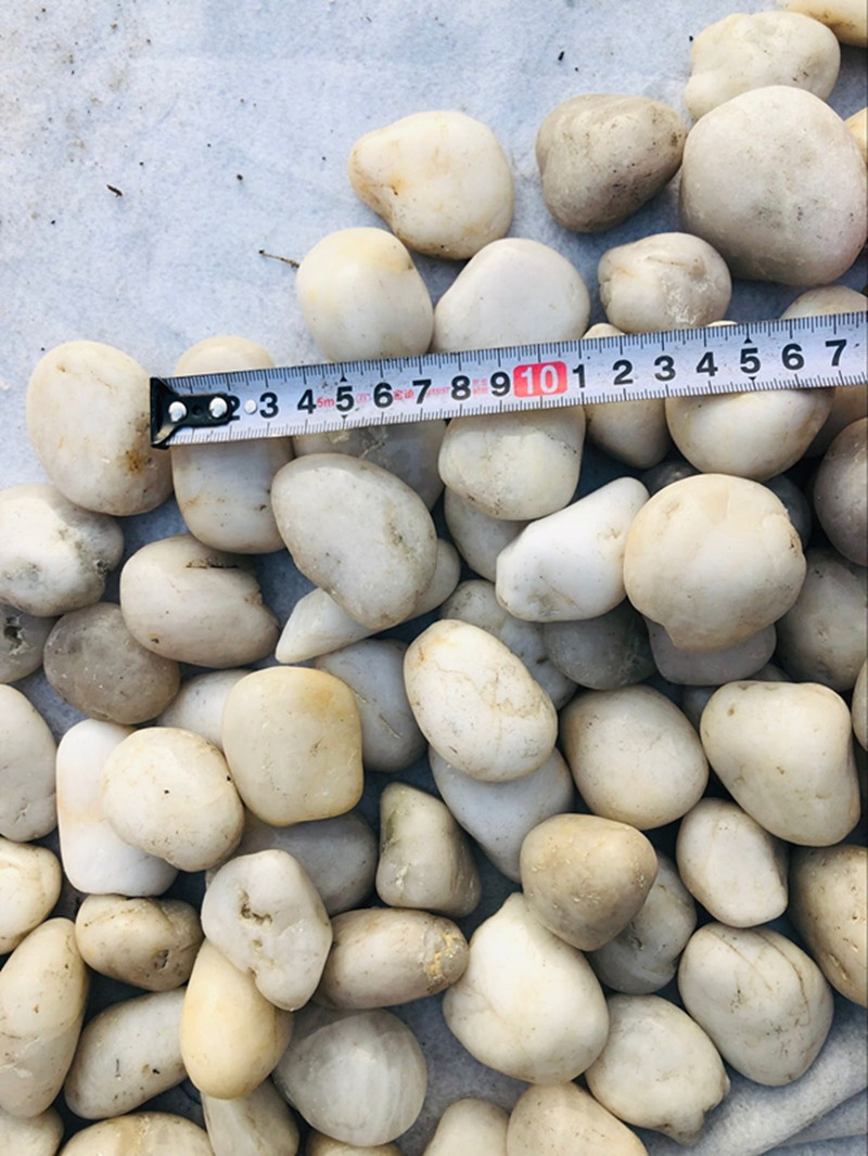 2021 Hot Selling White Polish Pebble Stones River Stone Gravels for Garden Decoration