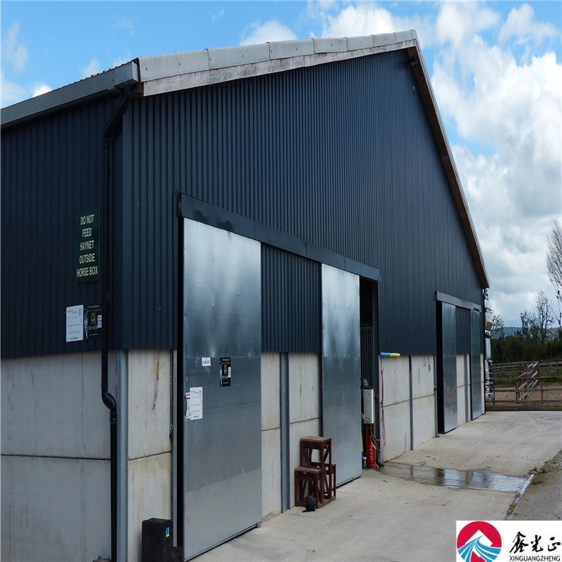 Customizable Low-Cost Steel Structure Prefabricated House for Domestic Use