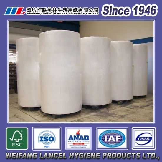 White Virgin Pulp Jumbo Roll Raw Materials for Converting and Making Napkin, Toilet, Facial Tissue and Paper Towel