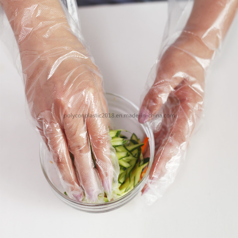 Transparent Clear PE Glove Disposable Food BBQ Glove Factory Price