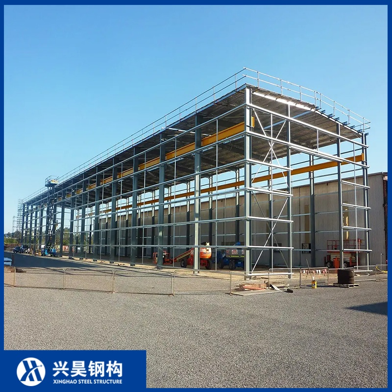 Agricultural Storage Facilities Using Prefabricated Steel Structure Buildings Workshops Warehouses with Steel Frames