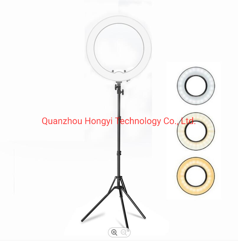 Wholesale USB Beauty Make up Fill Photographic Lighting with Tripod Stand 10inch 12inch LED Ring Light