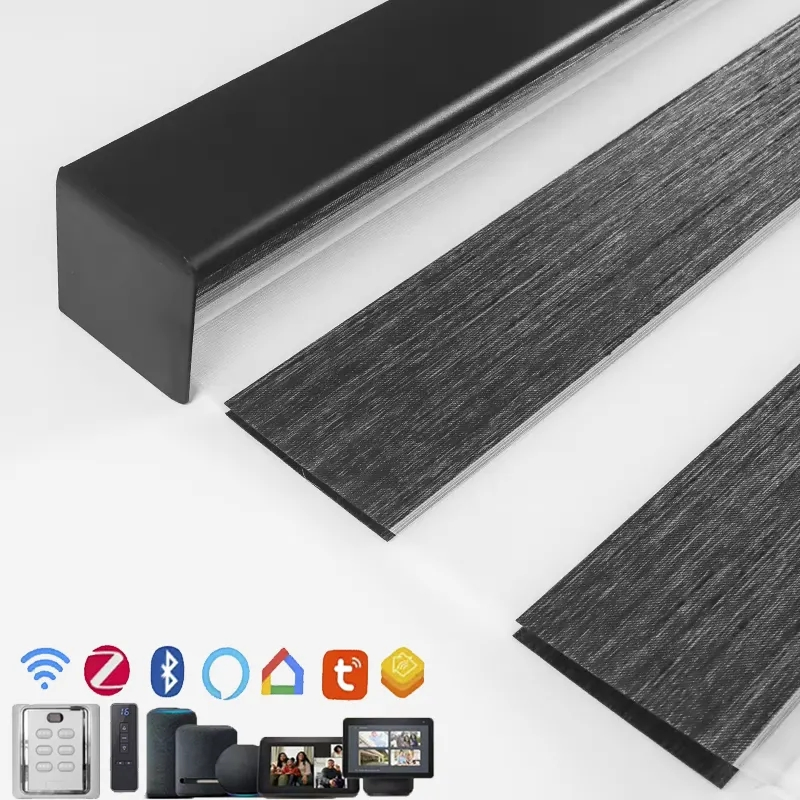 Custom Designer Shimmery Fabric Alexa Dual Double Layer Smart Control Zebra Blinds