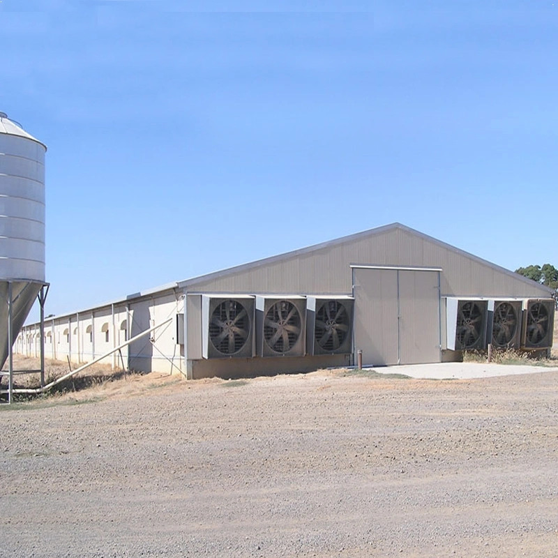 Construction Material Classic Metal Frame Prefabricated Steel Structure Chicken House
