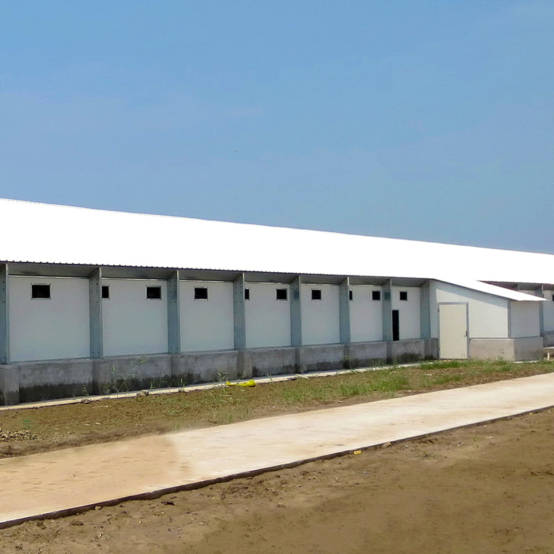 Classic Factory Designed Prefabricated Steel Structure Chicken House for Cage Feed