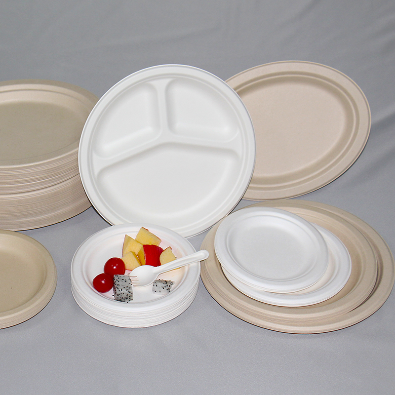 Factory Price Compostable Sugarcane Plate for Snack