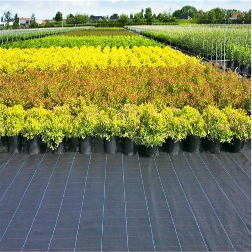 90GSM/100GSM UV Resistance Specification Landscape Anti Weed Mats Barrier/Weed Fabric PP Woven Geotextile Manufacturer Supply by Factory Wholesale Price