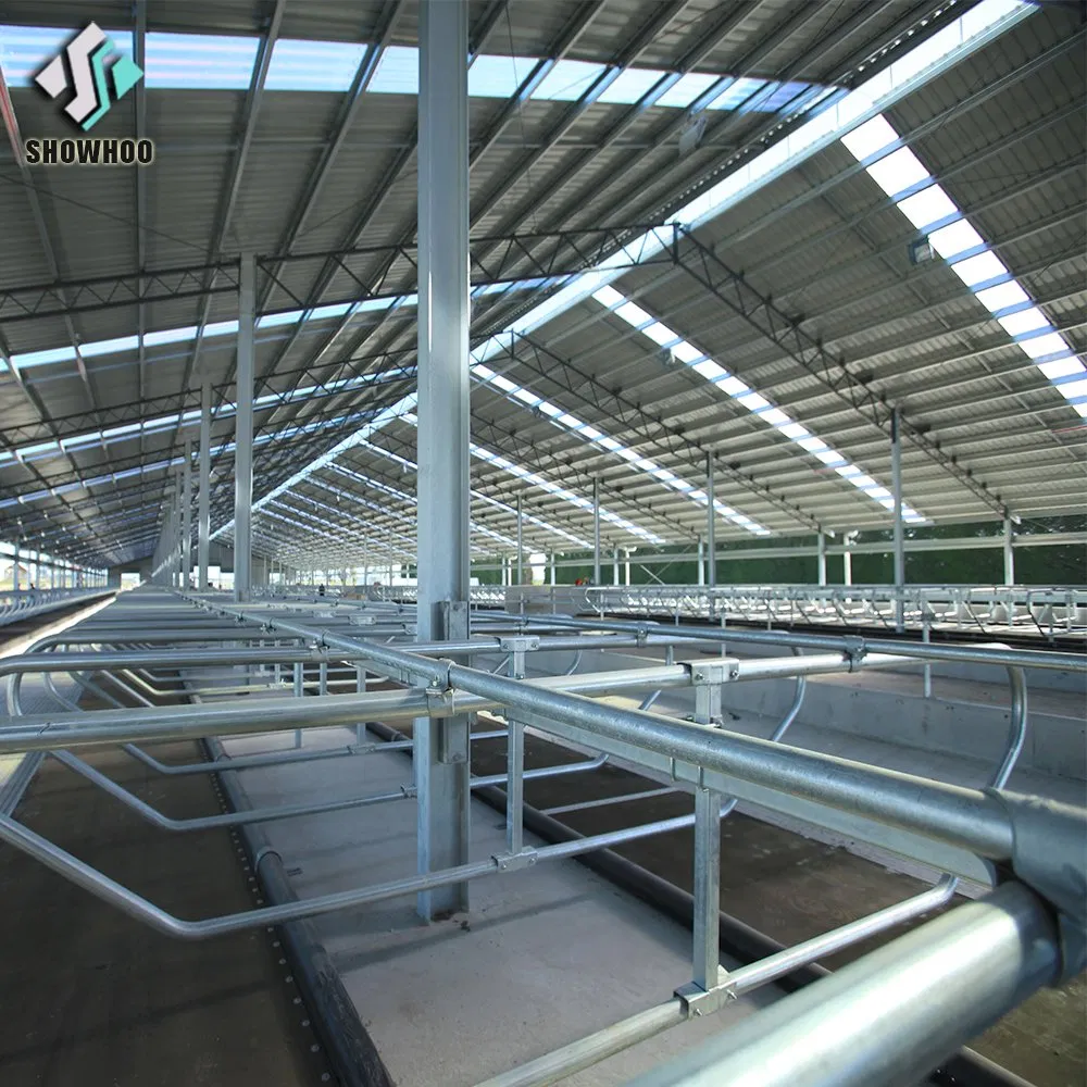 Steel Structure Livestock Barn Design Prefabricated Cow Farm House Building Cattle Shed