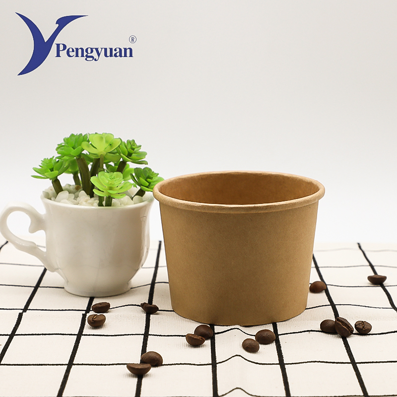 Summer Cold Drink Frozen Ice Cream Container Disposable Ice Cream Cup