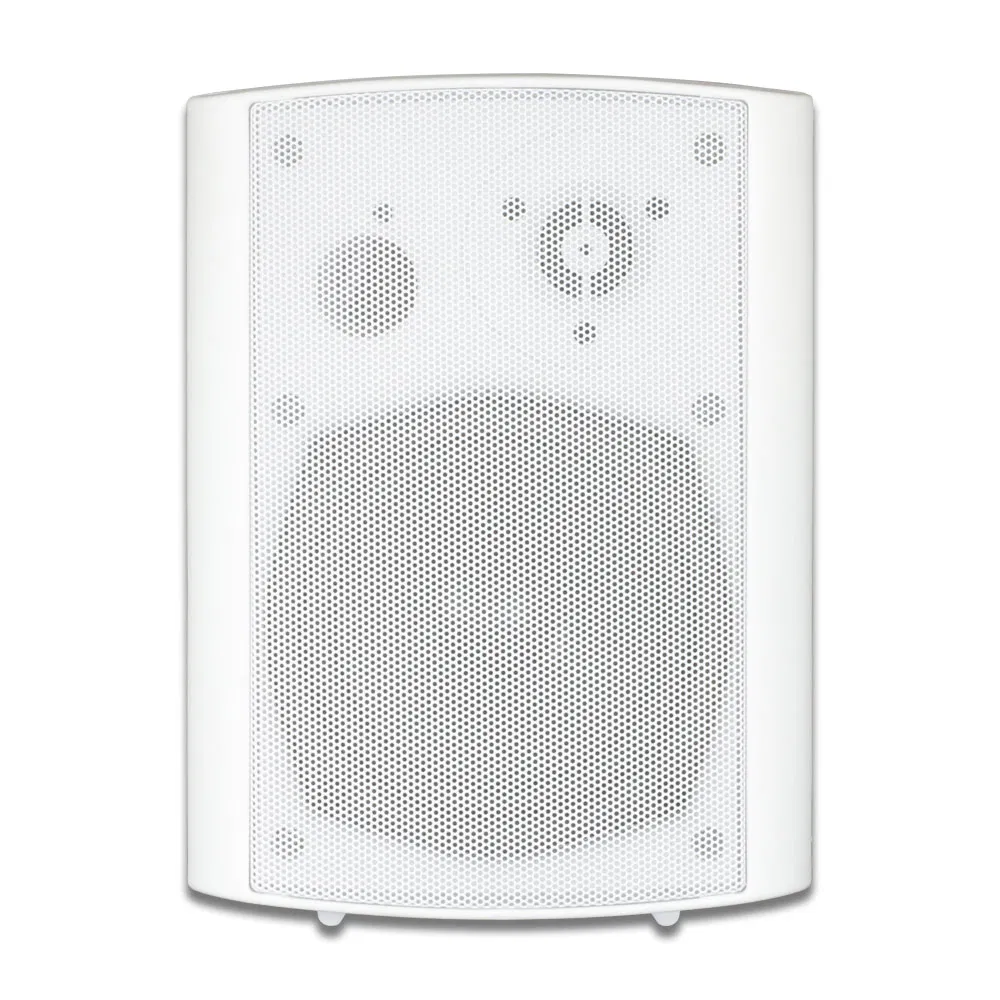 Tianlai Tl-A5bt Colunas De Som Bluetooth China Speaker Manufacturer Wall Mounted Active Loud Bluetooth Amplifier Speaker Box