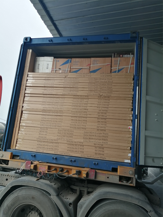 Shengyifa China Supplier Design WPC Door Designs Custom PVC Door Skin