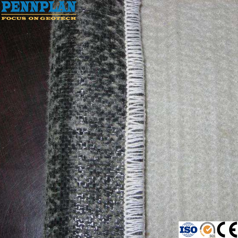 Gcl Geosynthetic Clay Liner Geotextile Geomembranes for Anti-Seepage of Landfill