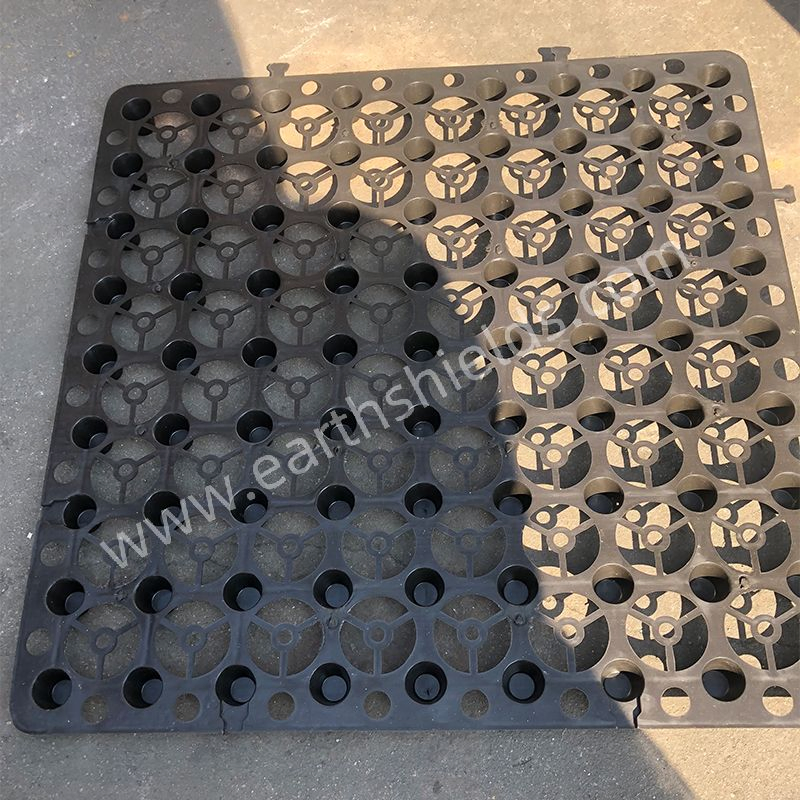 HDPE Drainage Board Enabling Optimal Drainage for Thriving Green Roof Gardens