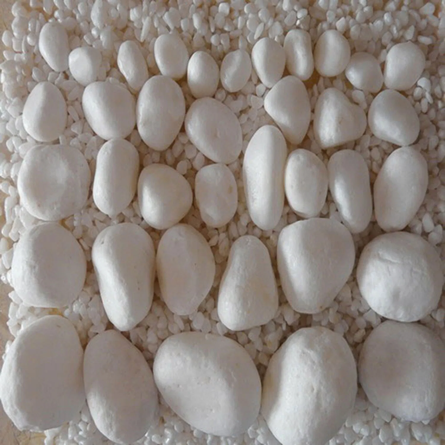 Hot Selling Natural Stone Snow White Cobble Stone for Decoration