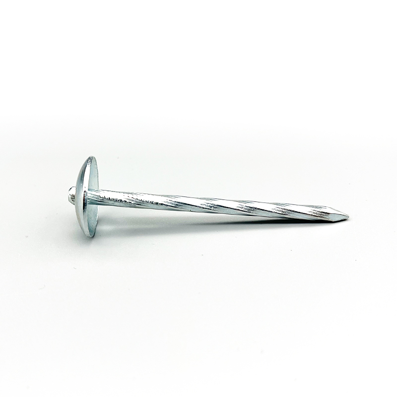 Ring Shank Nails Galvanized Roofing Nail Construction Building Quick Quotation