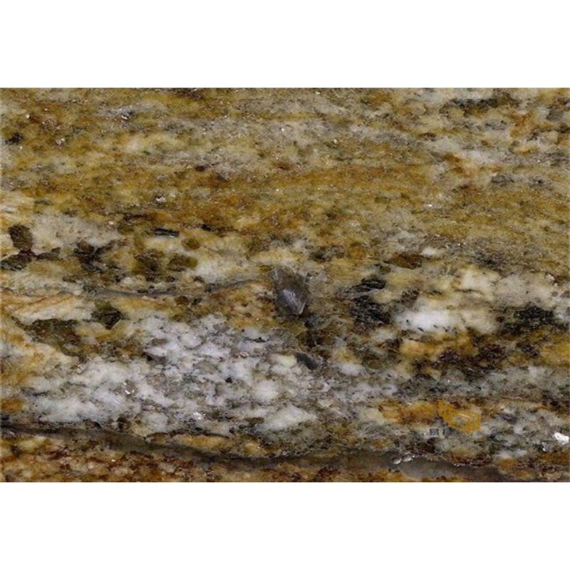 Honed/Polish Bianco Antico Yellow/Gold Granite for Wall/Tiles/Countertop/Vanitytop