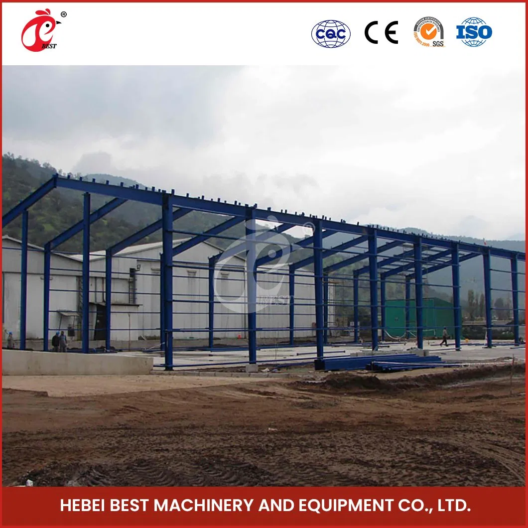 Bestchickencage Steel Poultry House China Steel Broiler Chicken Cage Factory Wholesale Prefab Steel Structure Chicken House Poultry Shed Farm